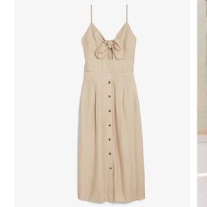 NWT Express Dress